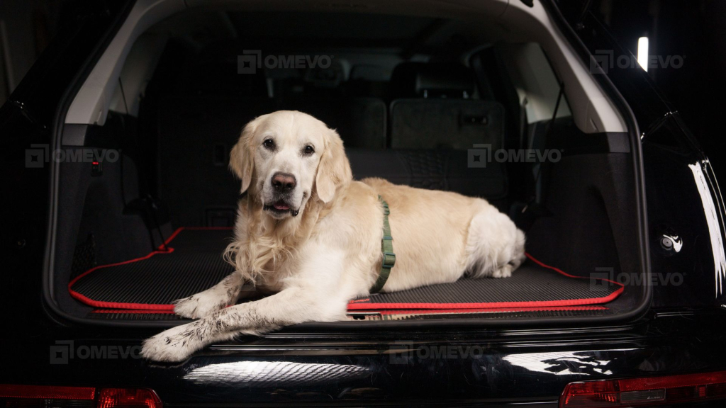 Pies w bagażniku na macie do bagażnika OMEVO